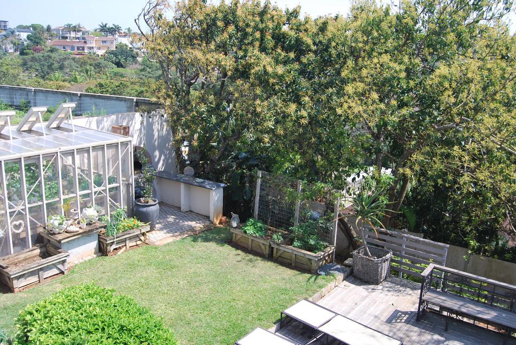 Sea Dreams Guesthouse Μπαλίτο Εξωτερικό φωτογραφία